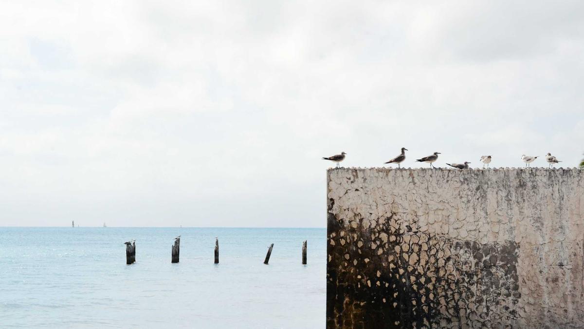 Symbolbild zum Thema Geometrische Muster Wand