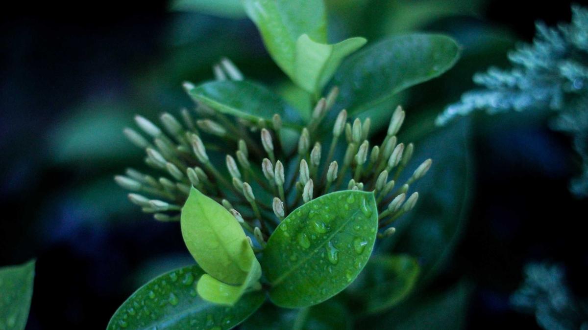 Symbolbild zum Thema VW Milliardenverlust