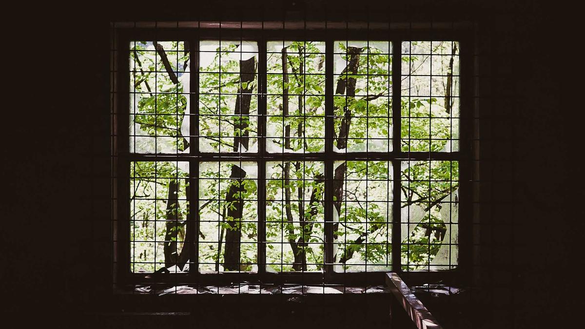 Erbschaftssteuer Volksbefragung