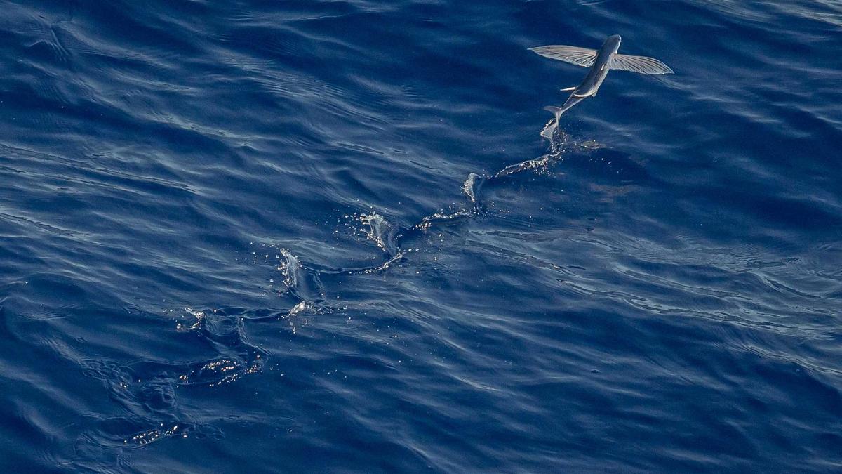 Fahrschule Anmeldungen