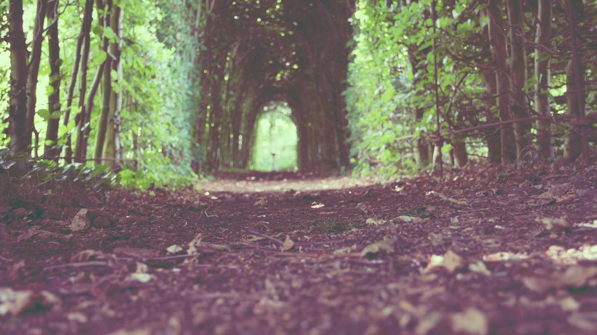 Gina Torres Einbruch