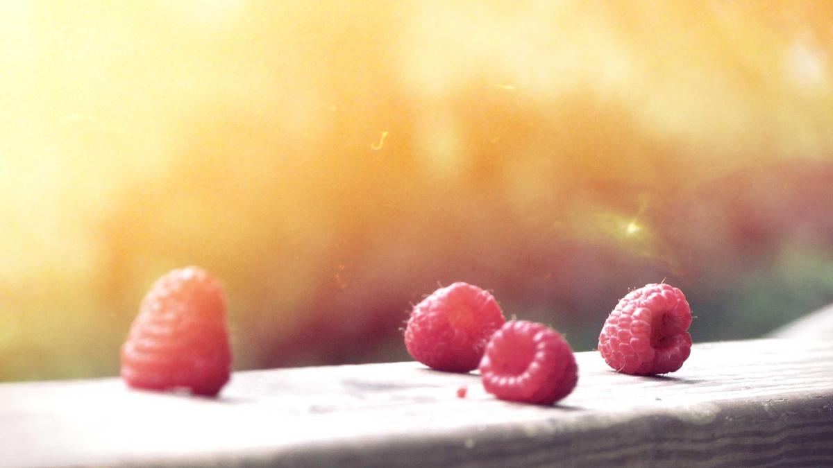 Goldpreis Entwicklung