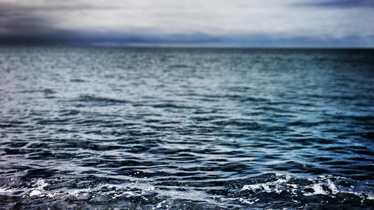 Highlights Metropole