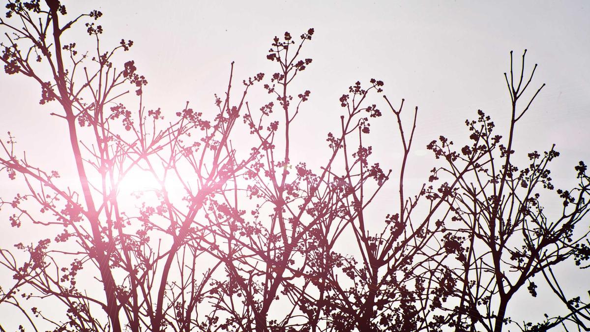 Informationsfreiheit Urteile