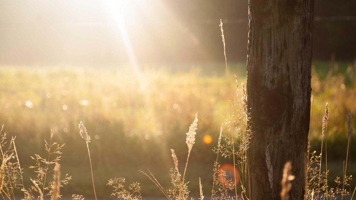 Philipp Stehler Schwanger