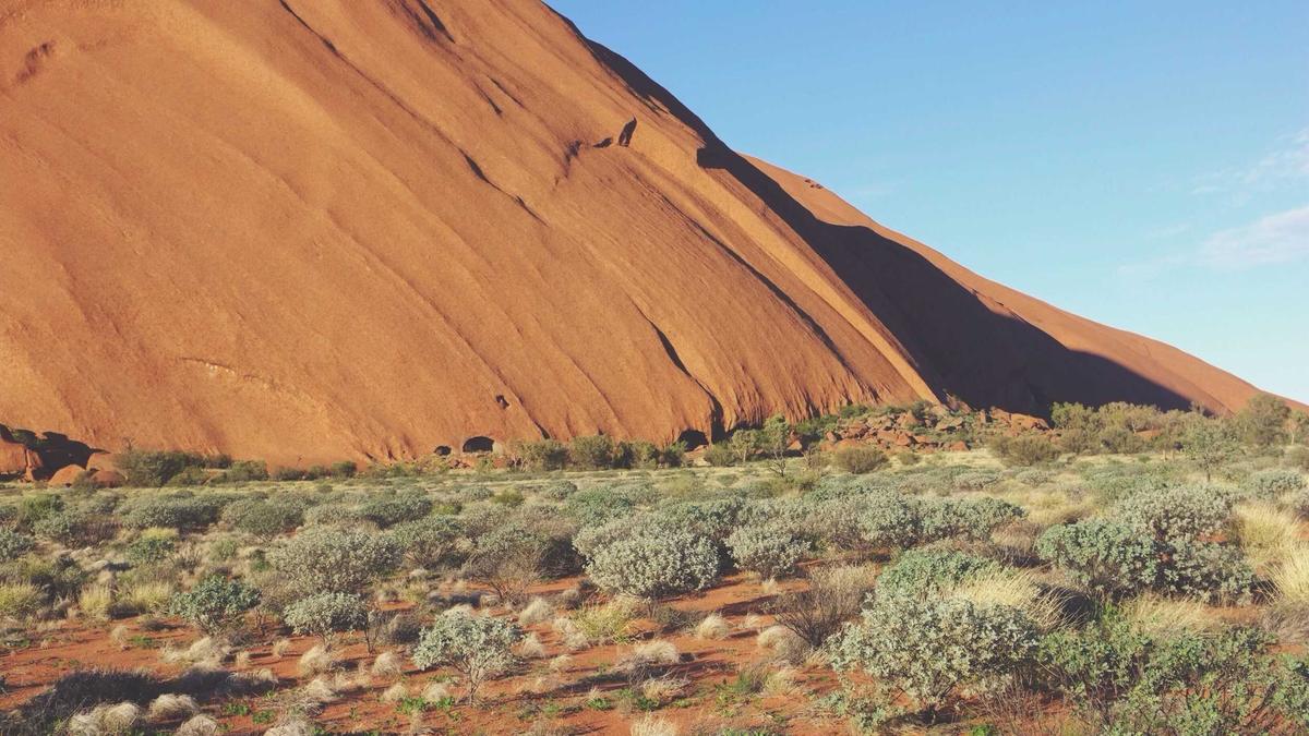 Teenager Rettet Familie