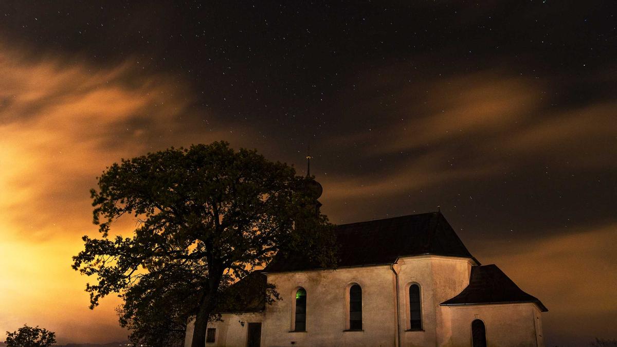 Tierprozesse Mittelalter