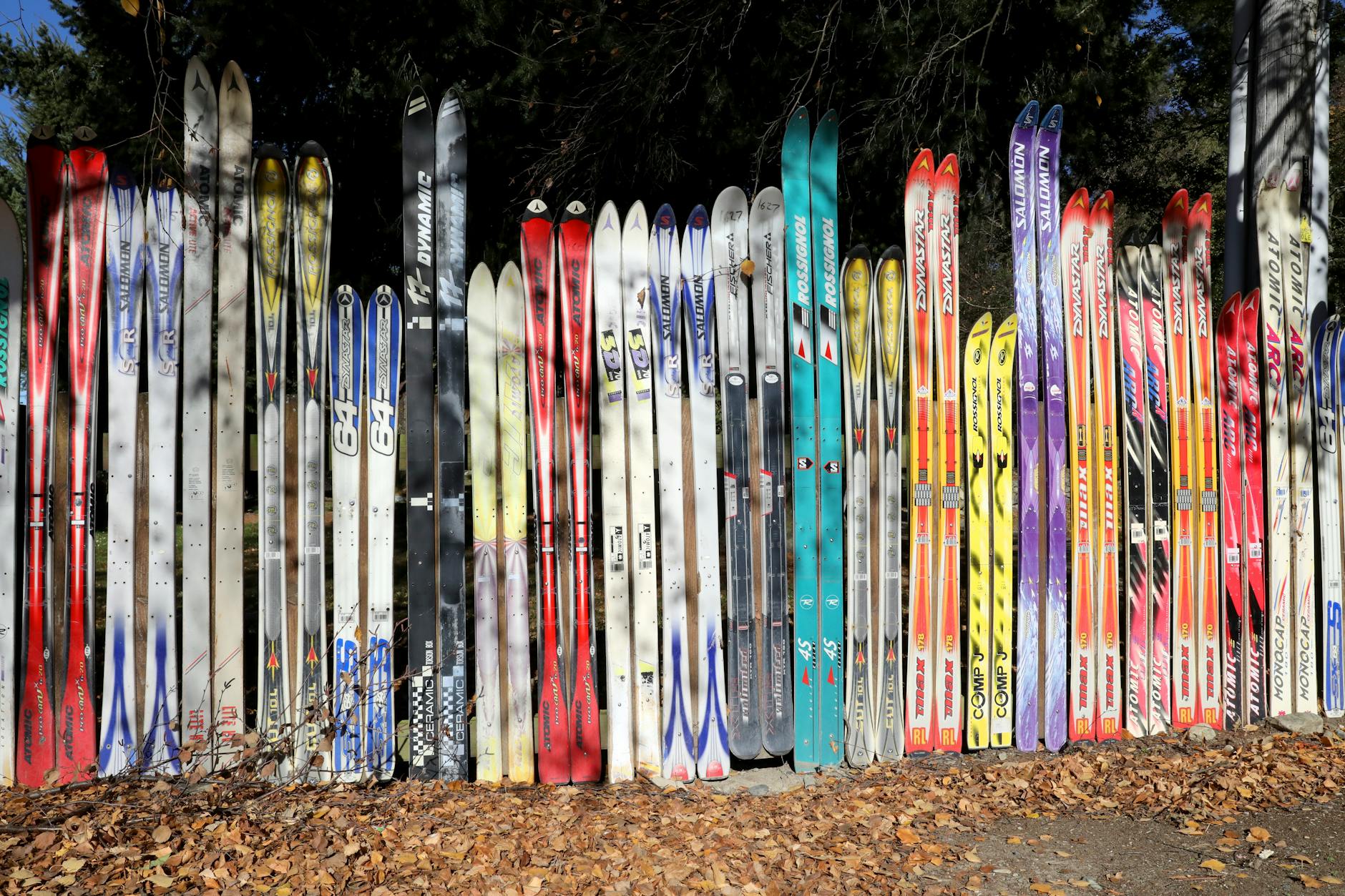 Symbolbild zum Thema 2026 Winter Olympics Alpine Skiing