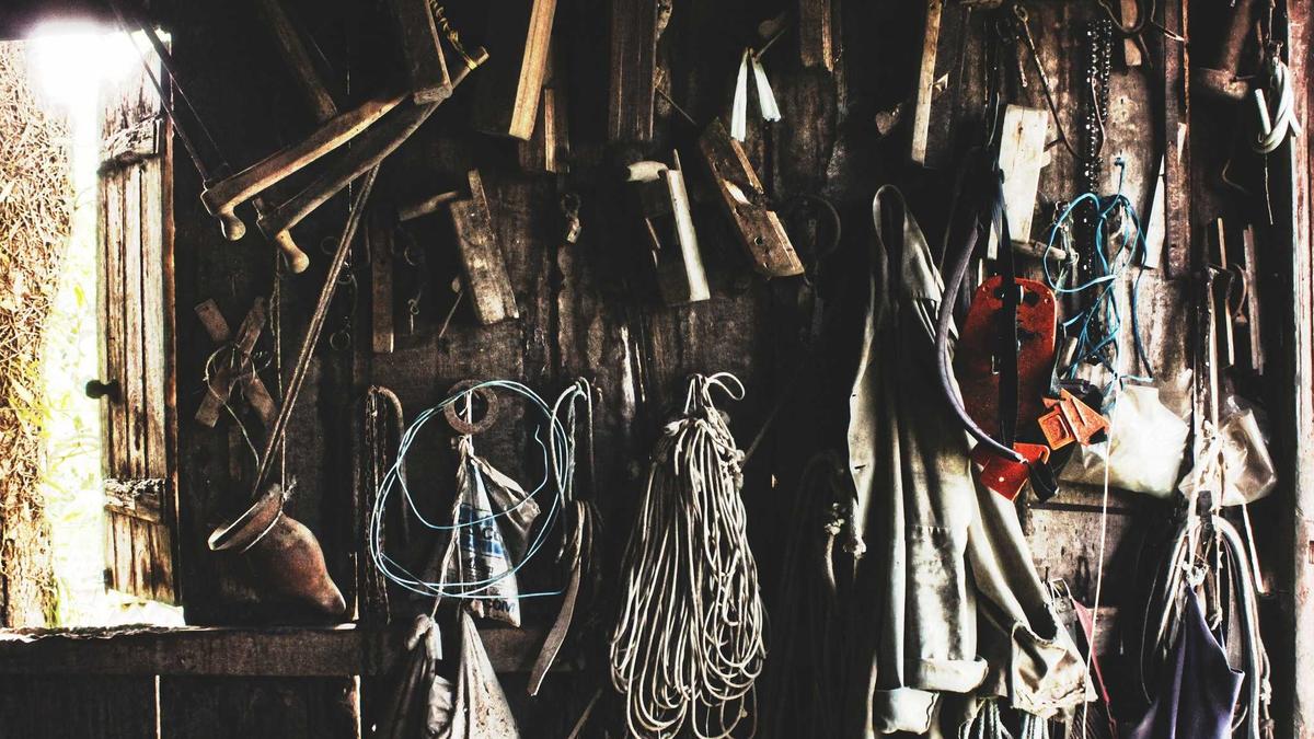 Illustration zu AFD Vetternwirtschaft