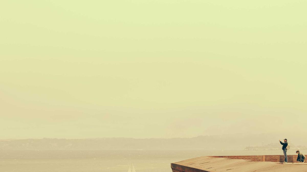 Symbolbild zum Thema Affenvideo Trump Obama