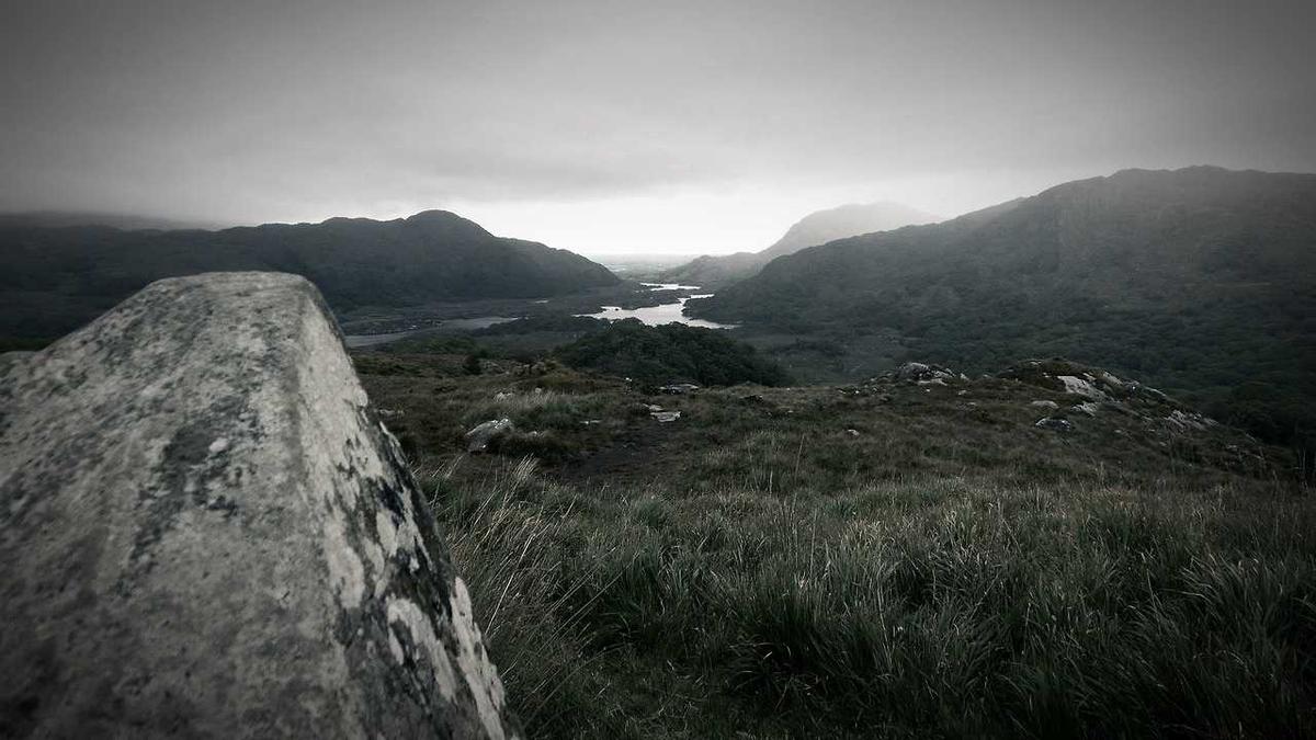 Symbolbild zum Thema Airfryer Rezepte Ohne Fleisch