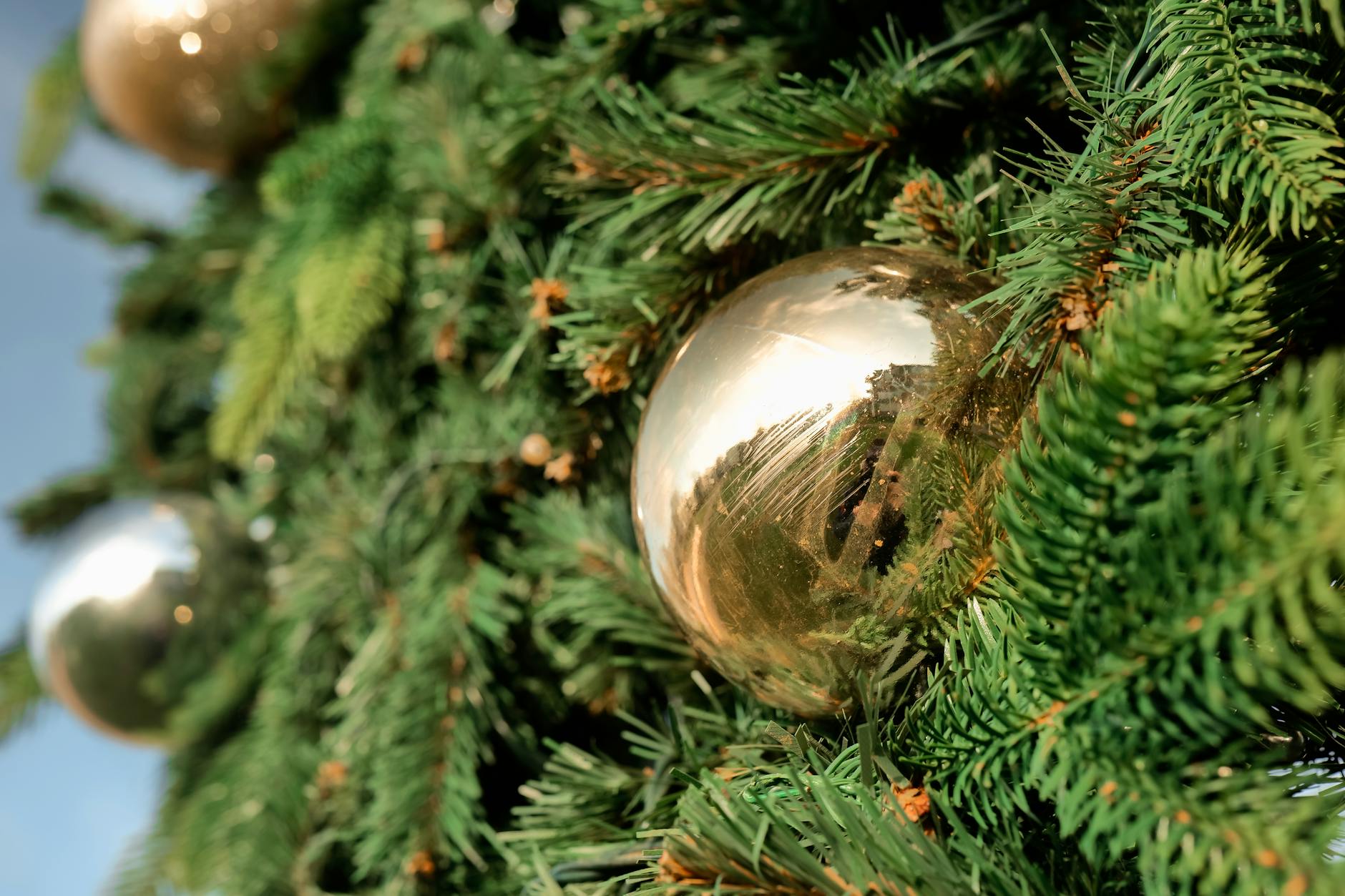 Detailansicht: Aksel Lund Svindal