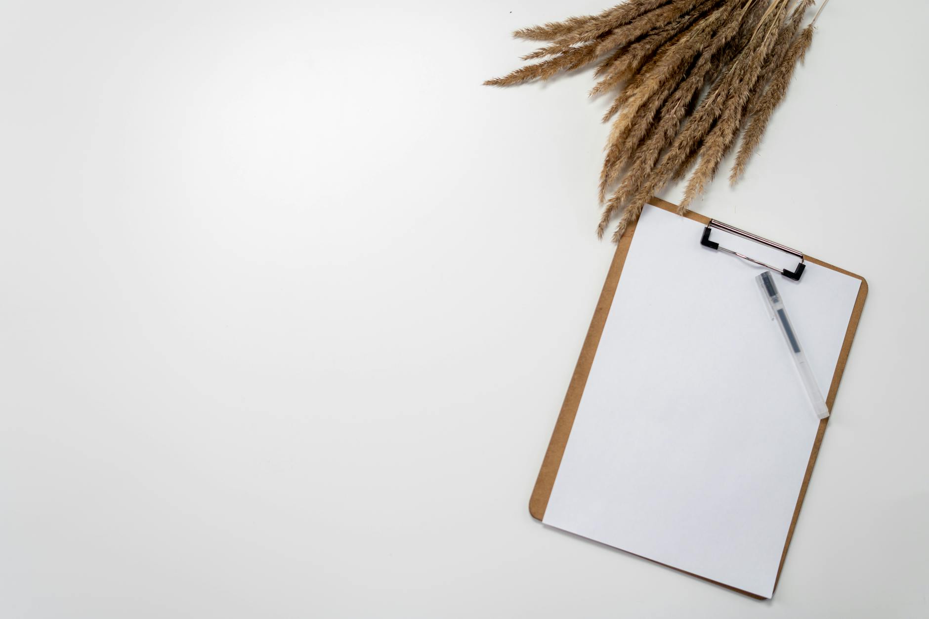 Symbolbild zum Thema Alemannia – RWE