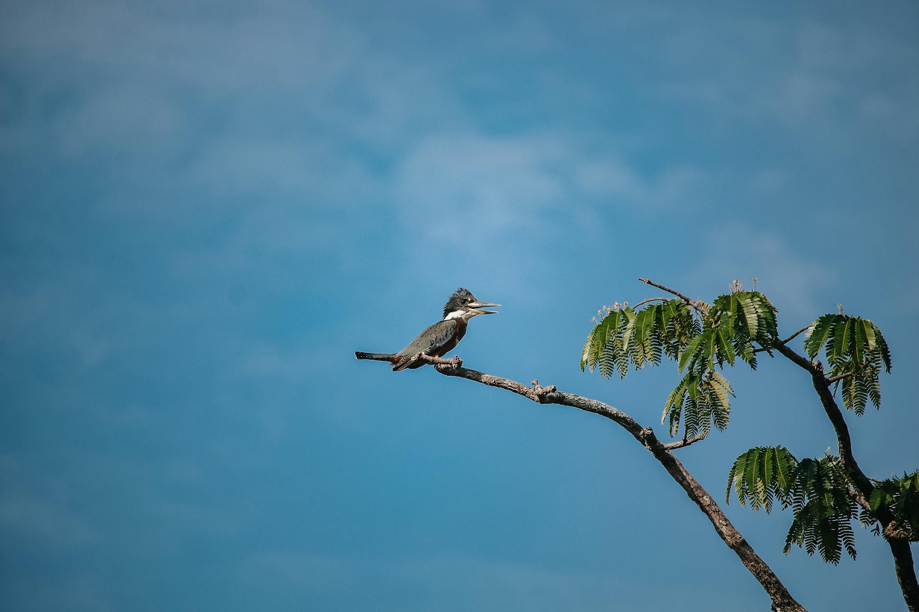 Symbolbild zum Thema Amazon Autoverkauf