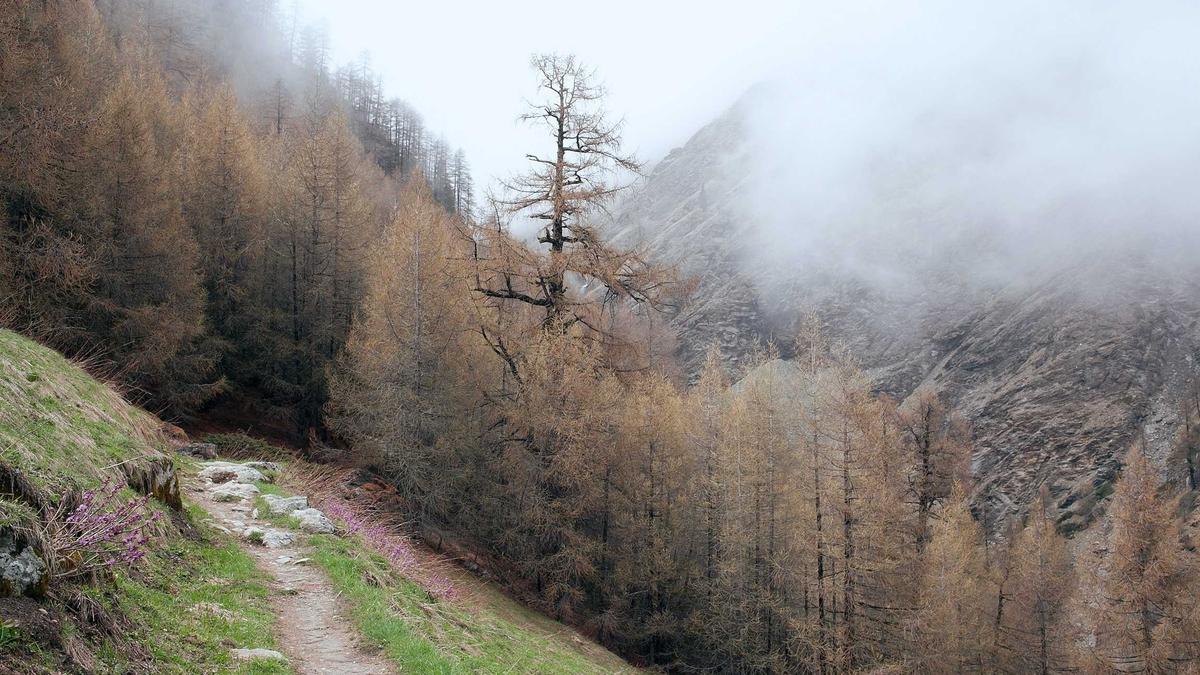 Symbolbild zum Thema Amazon Prime Video