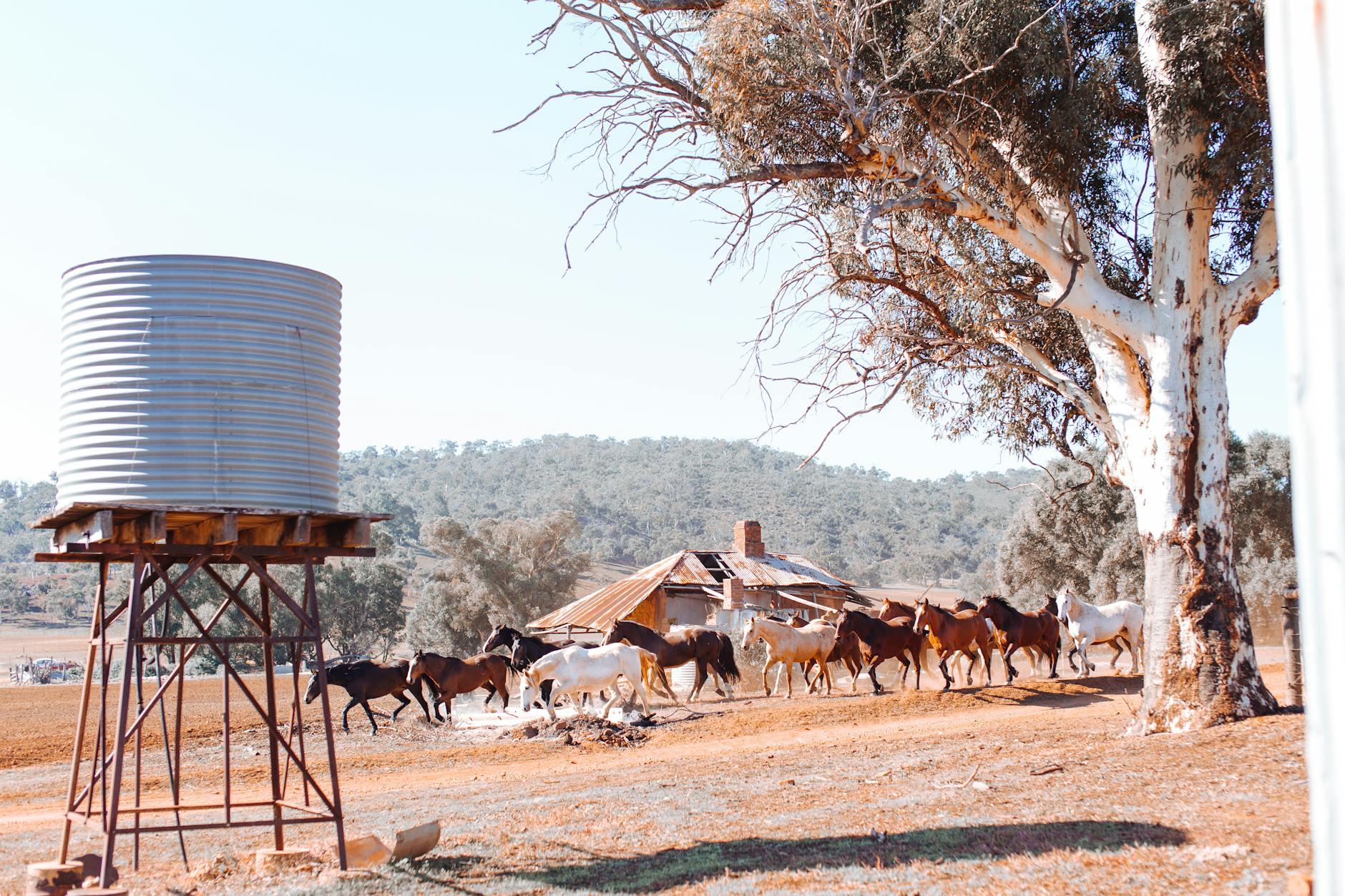 Detailansicht: Annika Morgan