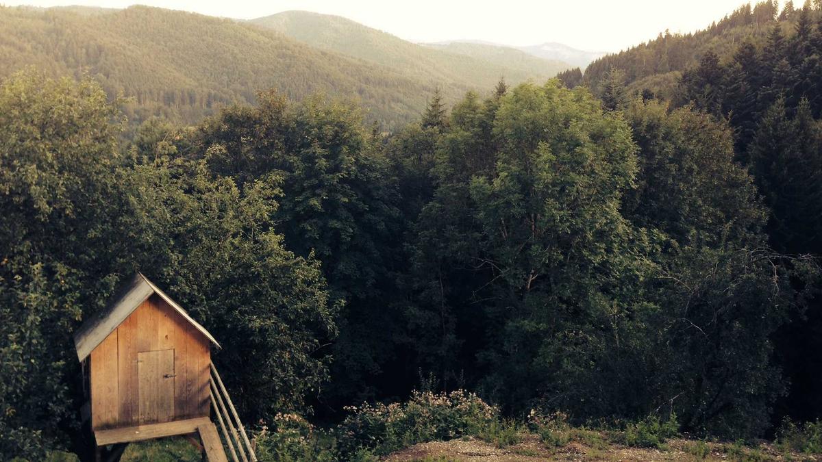 Illustration zu Atlético Madrid – Club Brugge