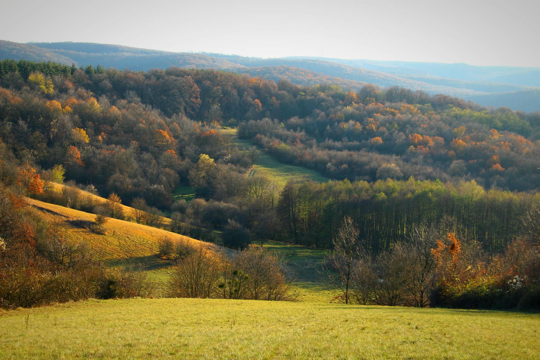 Illustration zu Augsburg – Heidenheim