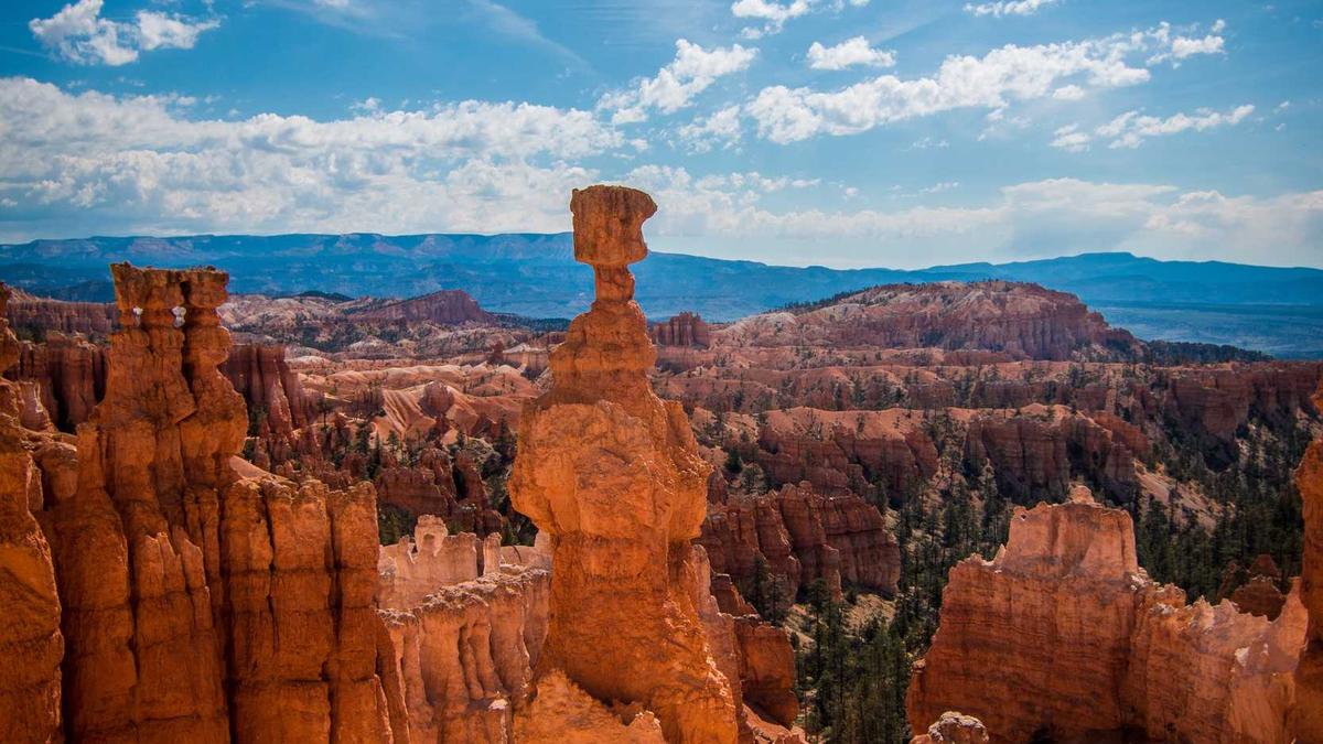 Symbolbild zum Thema Auswärtiges Amt Retweet