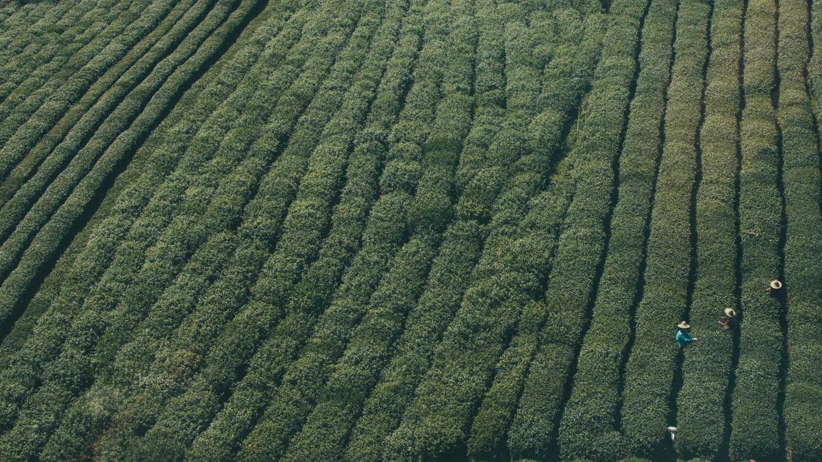 Illustration zu Auva Verwaltungsrat Strafe