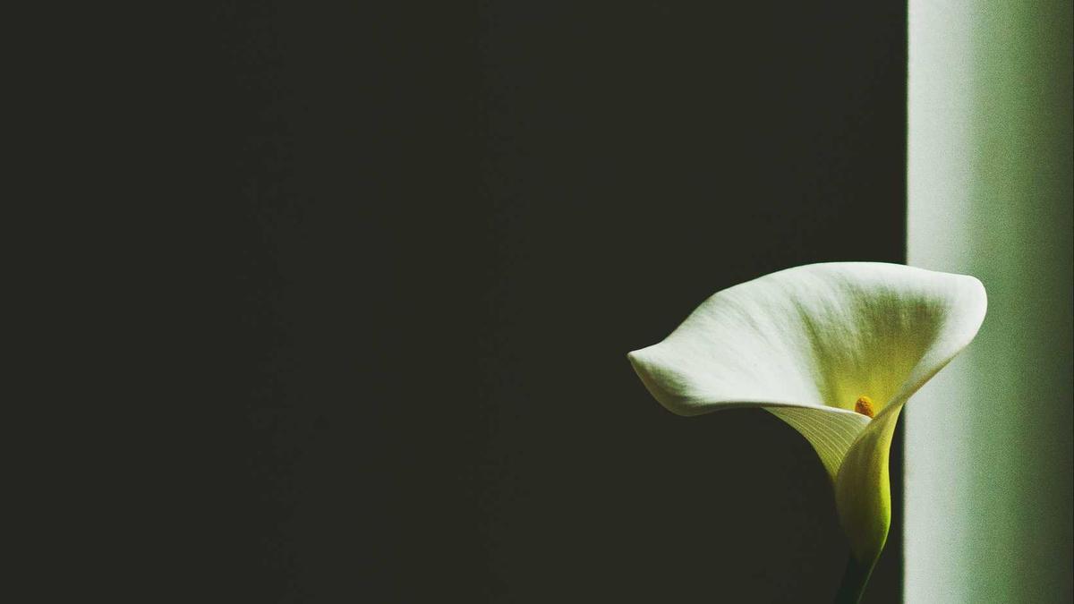 Symbolbild zum Thema Babler Migration