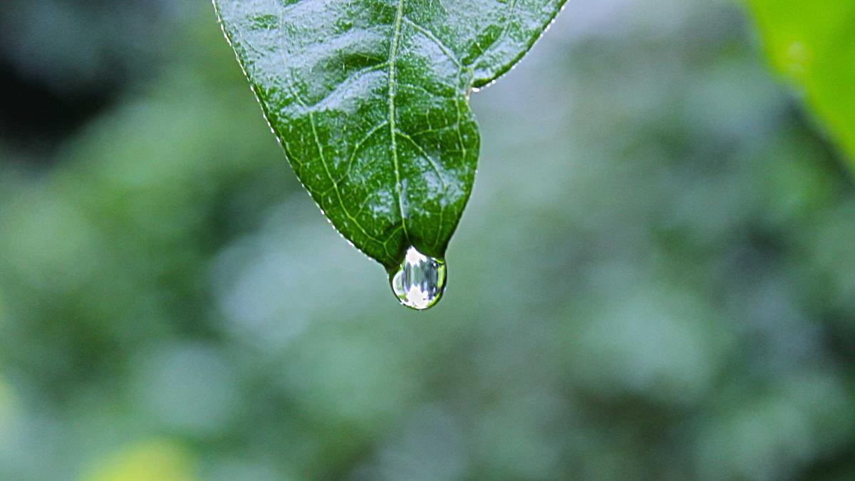 Detailansicht: Babynahrung Rückruf