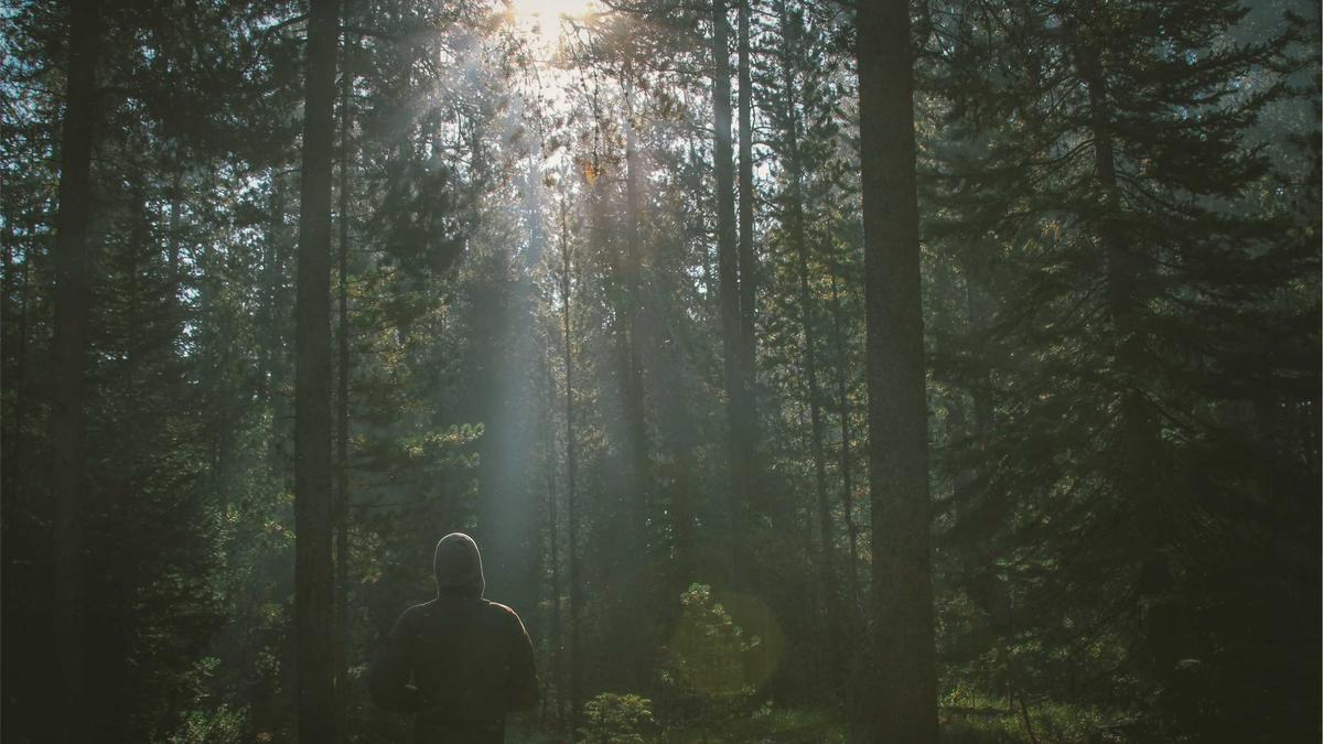 Detailansicht: Bahn GDL Einigung