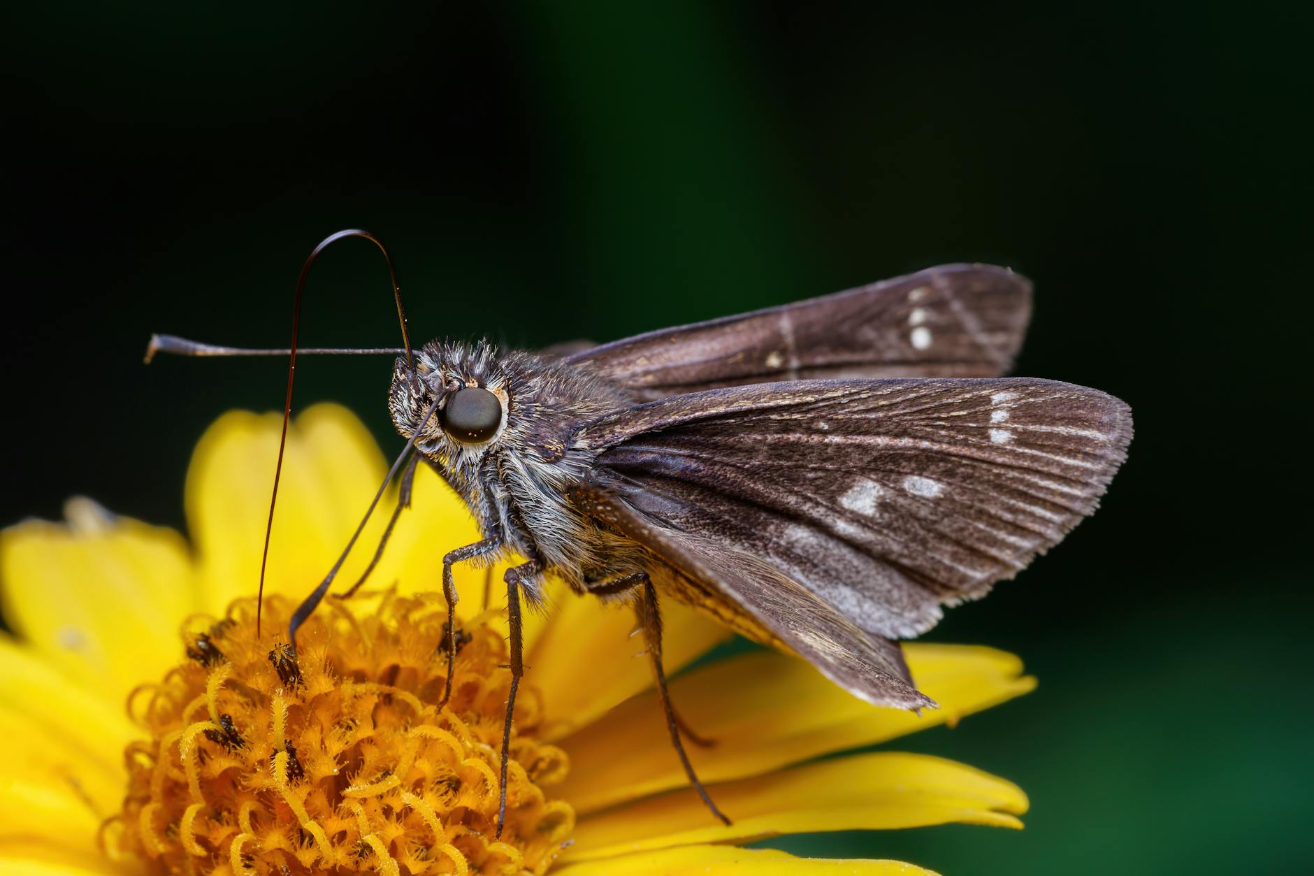 Illustration zu Bargeldlos Bezahlen Europa