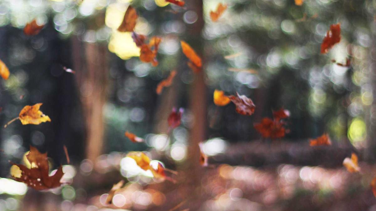 Symbolbild zum Thema Bauchübungen Wechseljahre