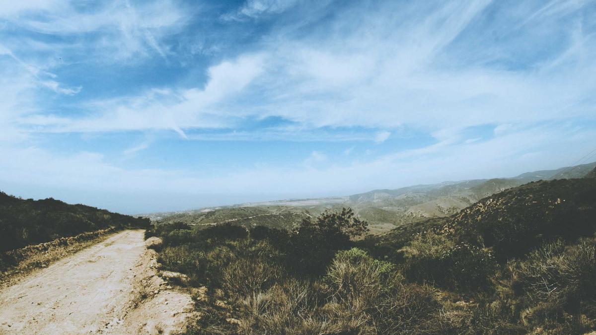 Symbolbild zum Thema Bill Gates Epstein