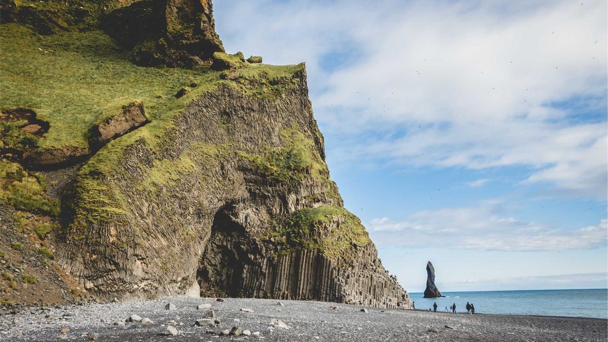 Detailansicht: Blitzer Arten