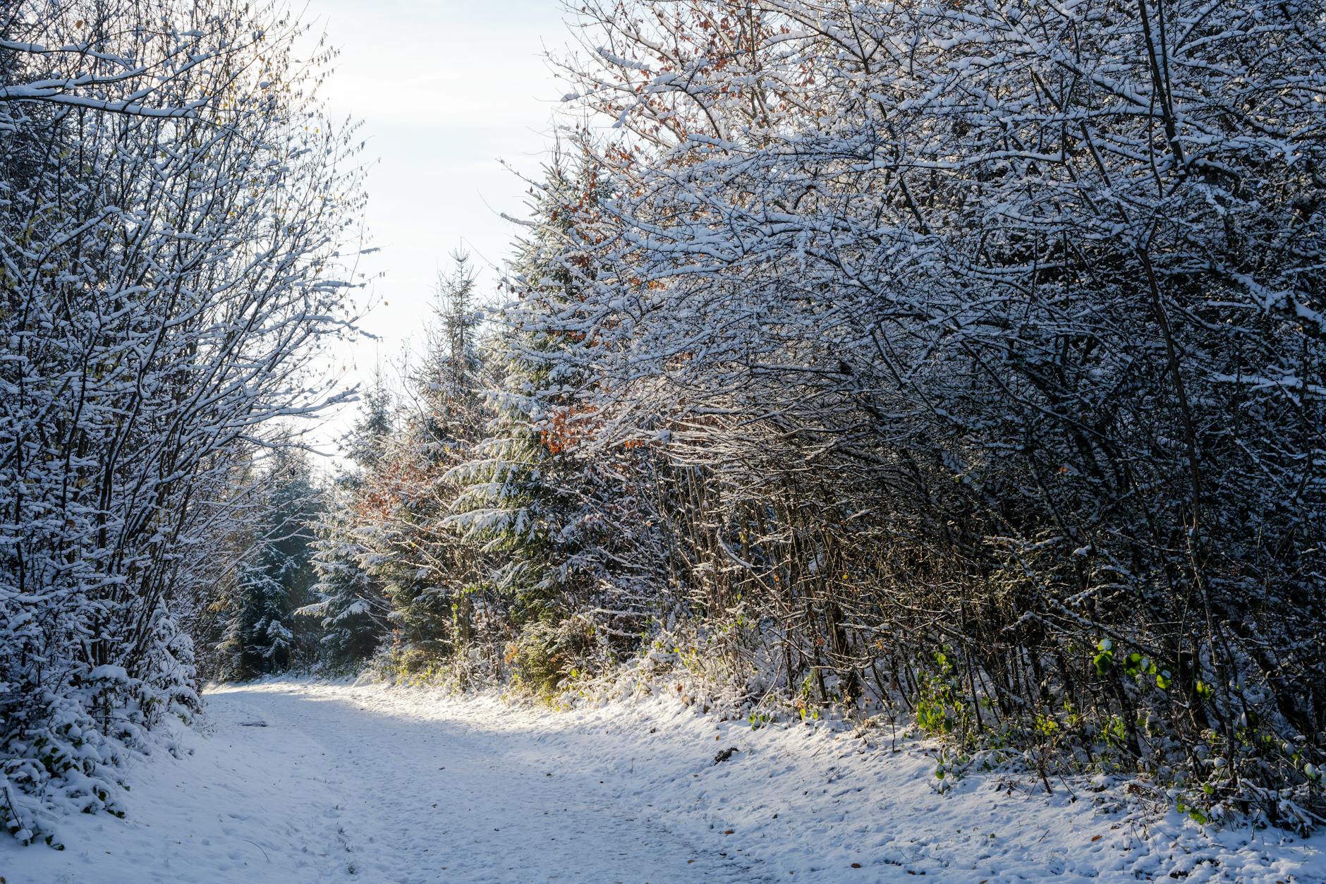 Symbolbild zum Thema Brand Crans Montana
