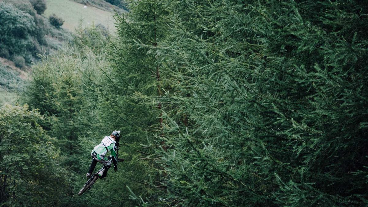 Illustration zu Bremen – FC Bayern