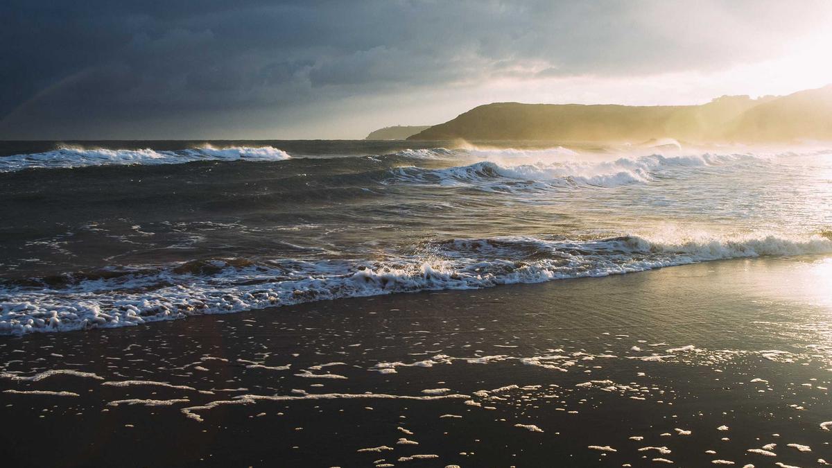 Detailansicht: Catherine Ohara Gestorben