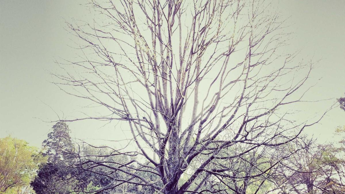 Symbolbild zum Thema Christian Mauch Unfall