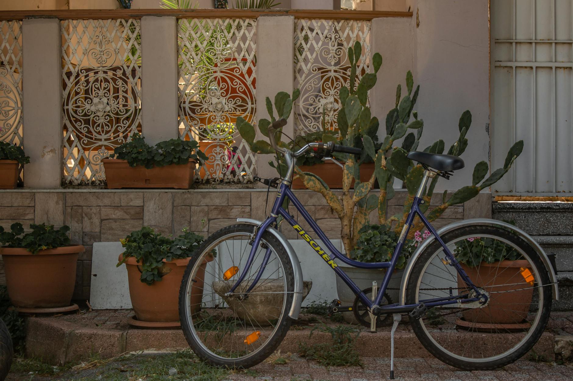 Illustration zu Dertour Fischer Air Streit