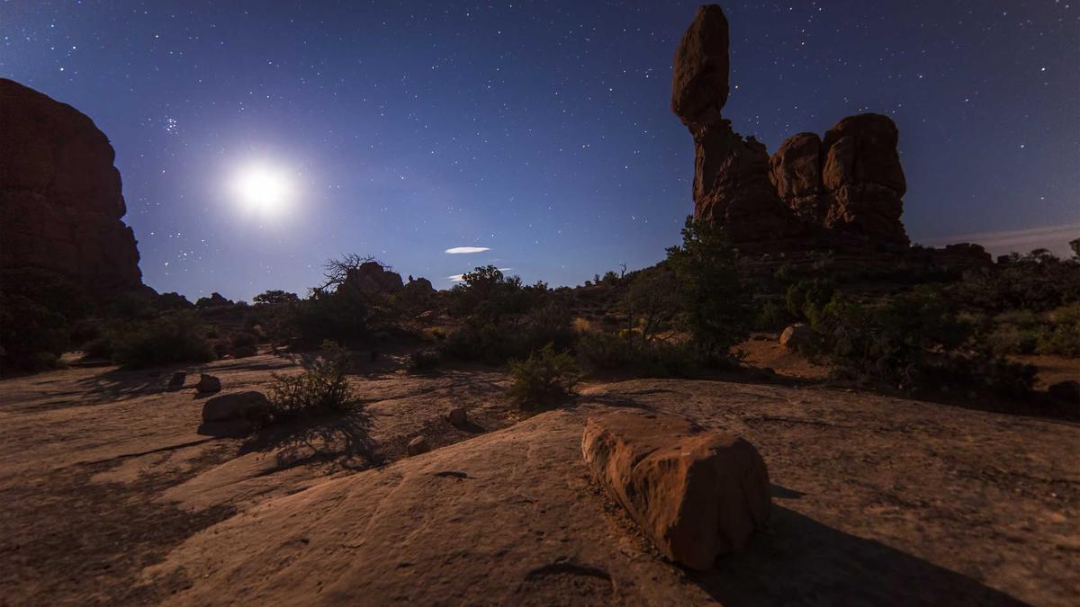 Detailansicht: Dortmund – Bayern