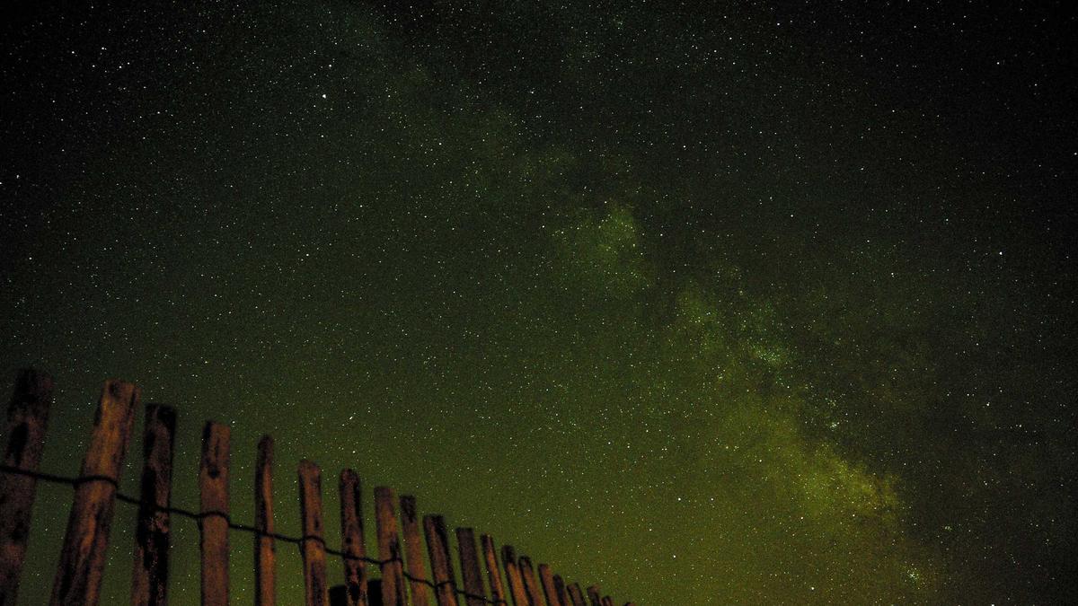 Symbolbild zum Thema Eishockey Finale