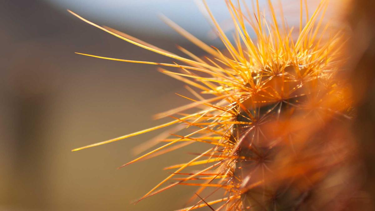 Illustration zu Elektronische Patientenakte