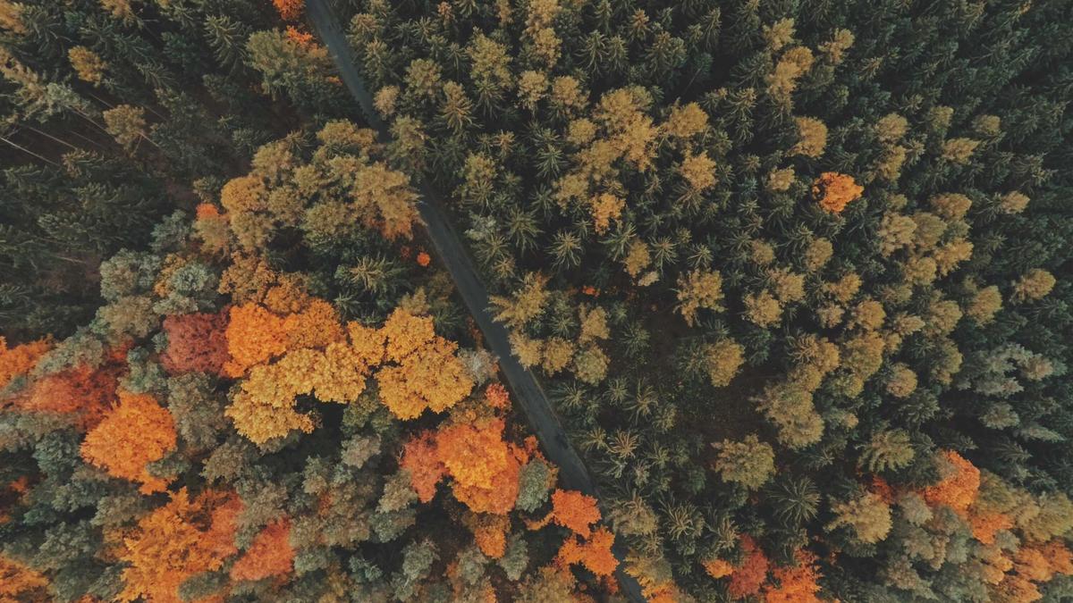 Symbolbild zum Thema Elsbeth Stern Intelligenz