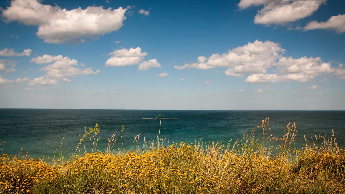 Detailansicht: Eric Dane Todesursache