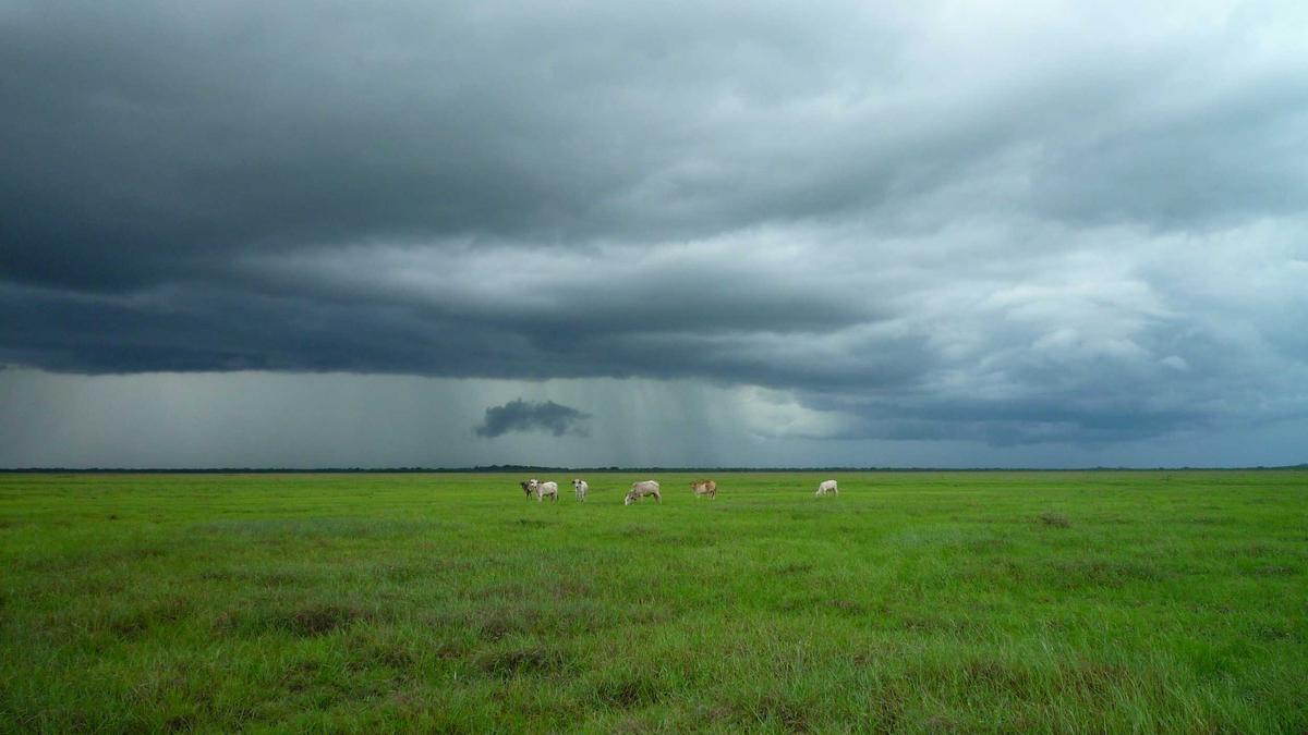 Symbolbild zum Thema FCK Spiel Heute