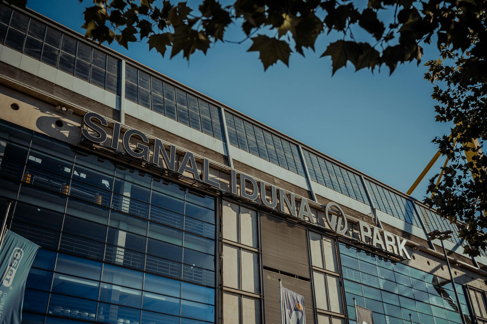 Detailansicht: Frauen Bundesliga