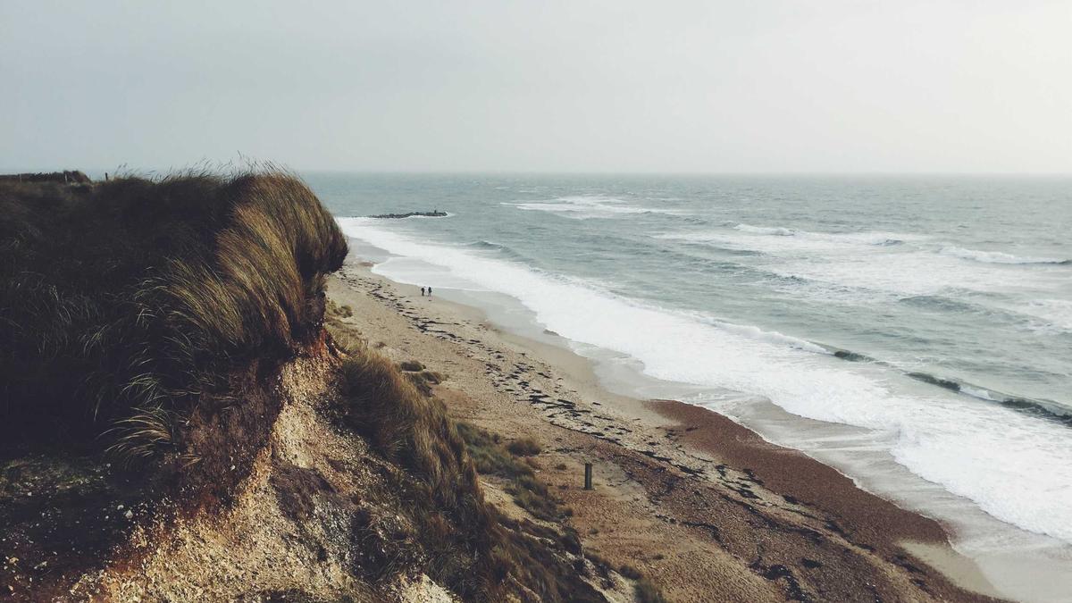 Detailansicht: Gartenschere Arten