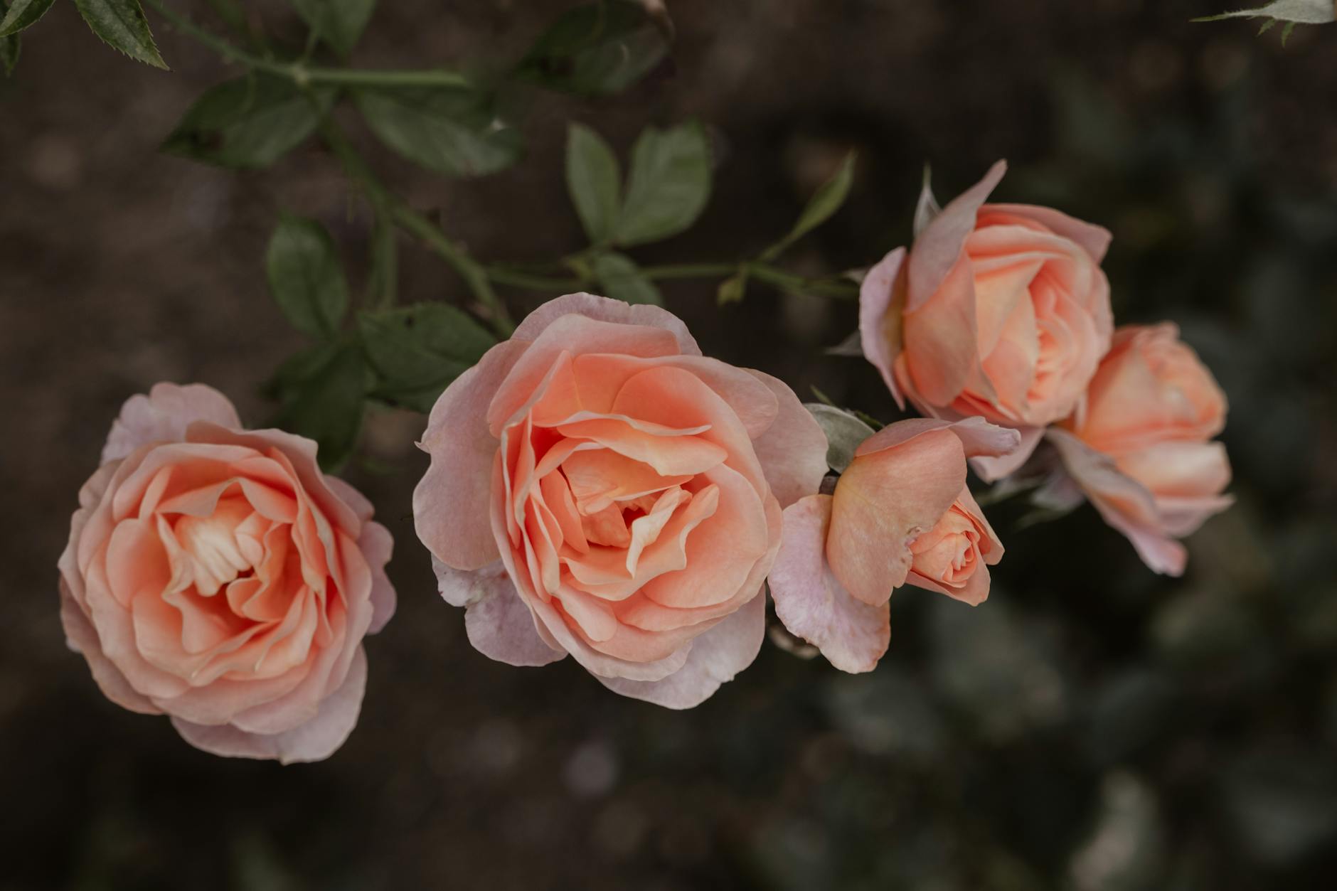 Illustration zu Gasknappheit Deutschland