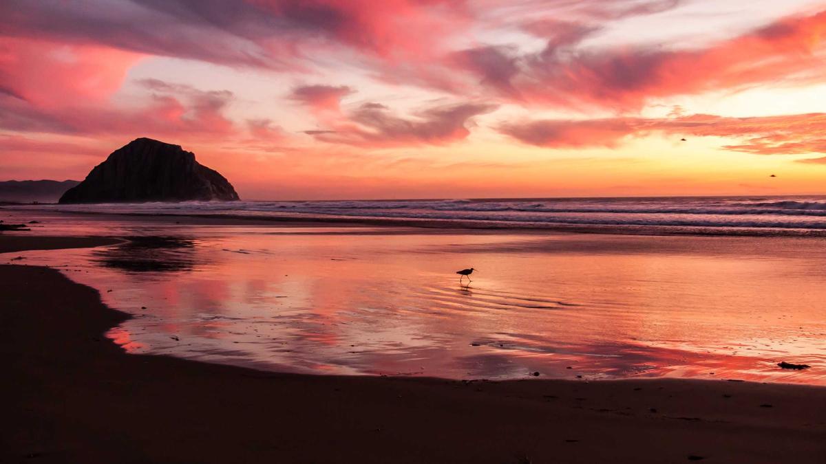 Symbolbild zum Thema GNTM Wer Ist Raus Frauen