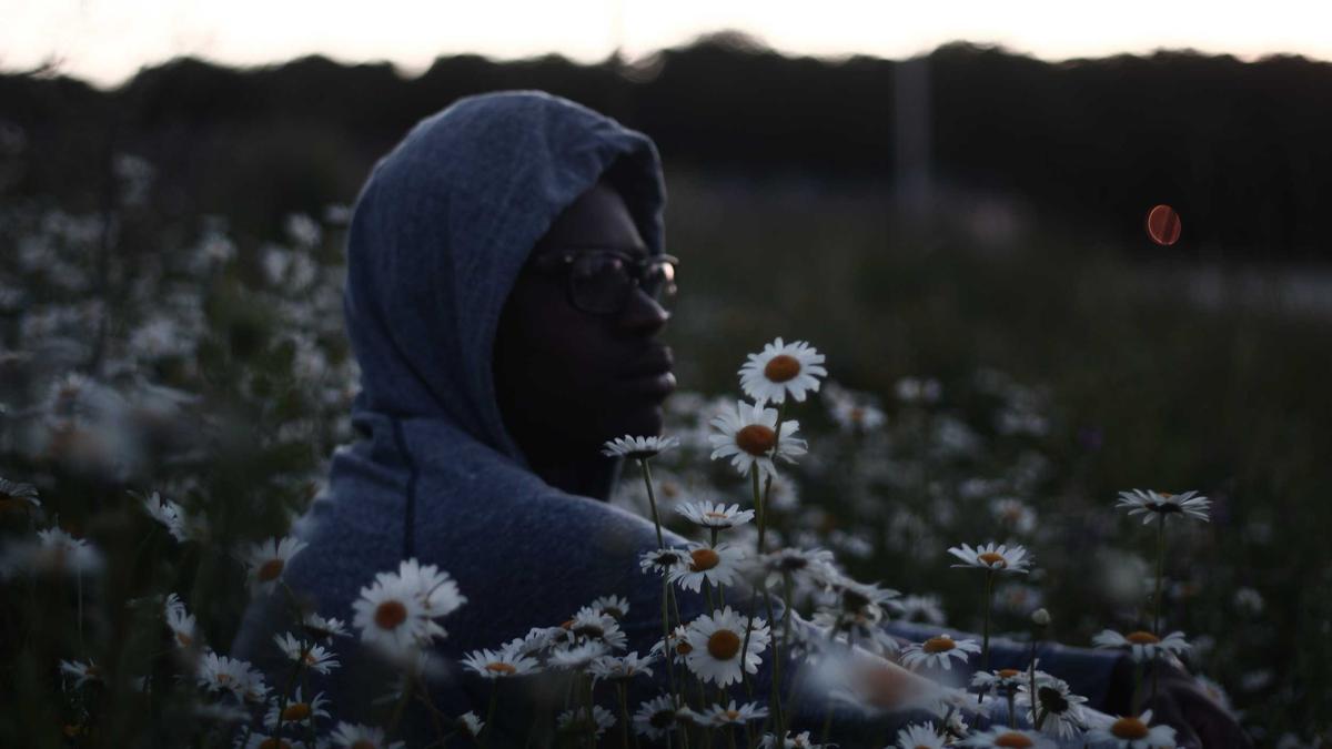 Symbolbild zum Thema Grüne Erbschaftssteuer