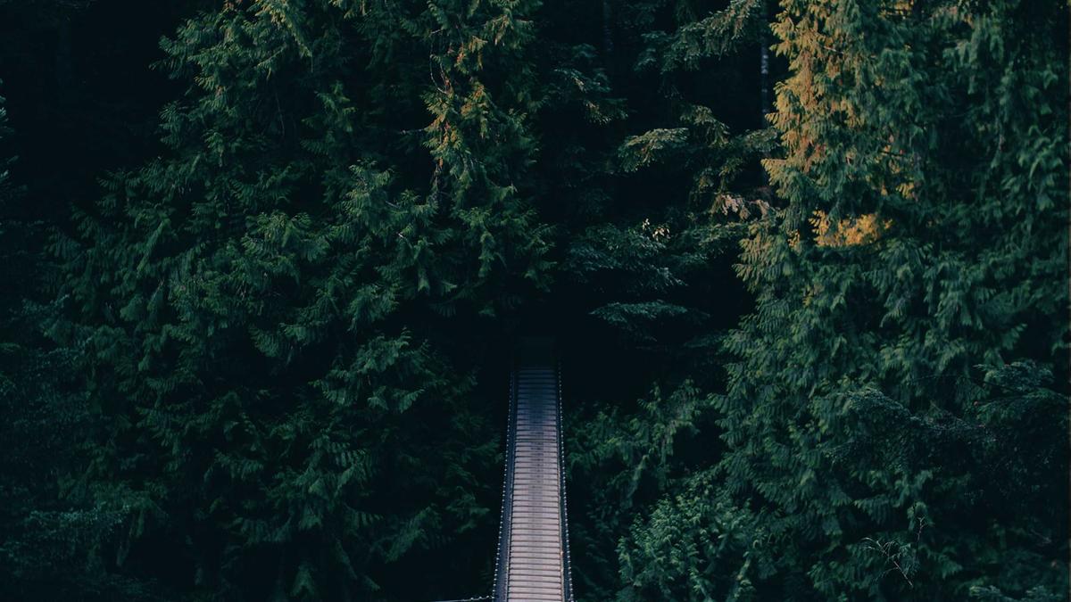 Detailansicht: Halbtaucher Kokain