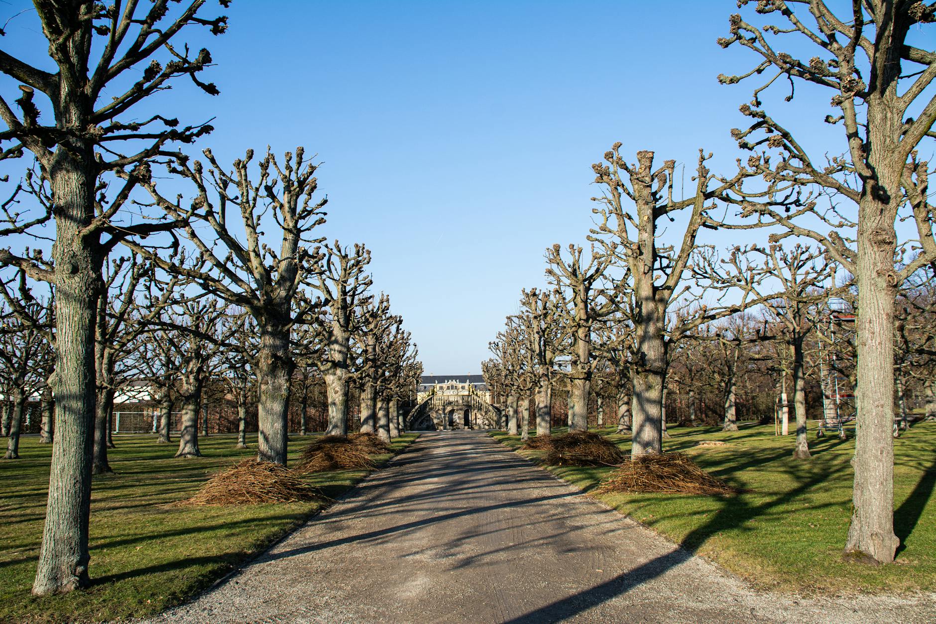 Detailansicht: Hertha – Hannover 96