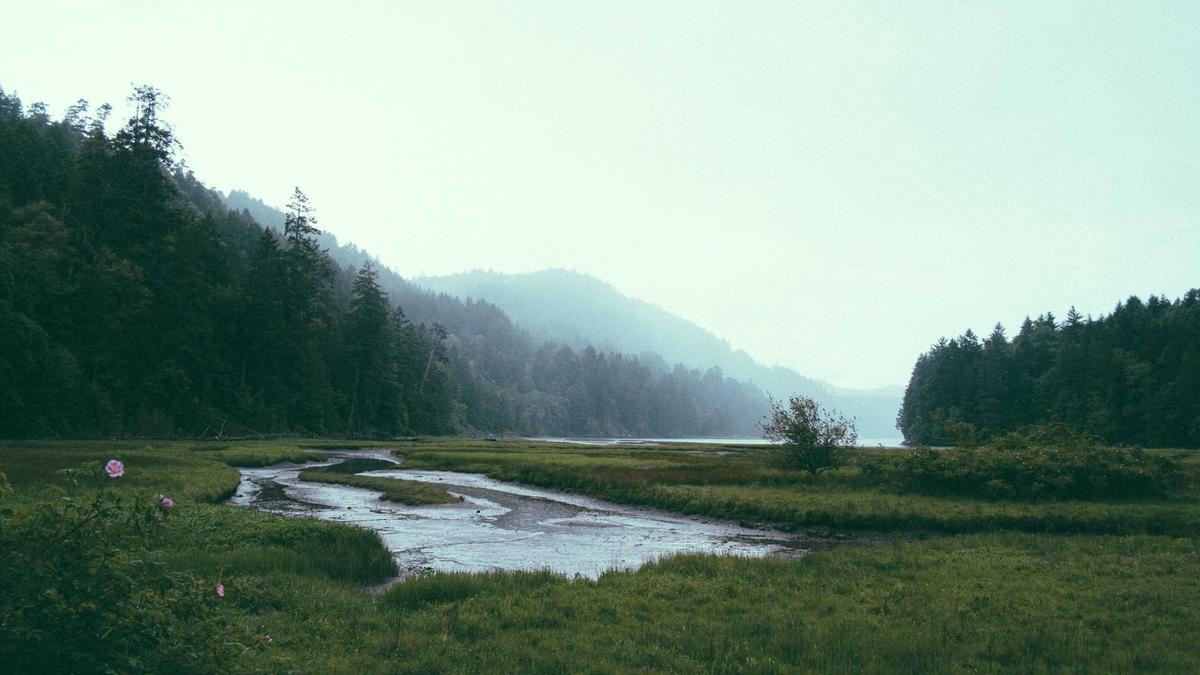 Symbolbild zum Thema Hinzenbach